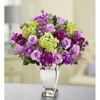 Denville Florist | Lavender Collection
