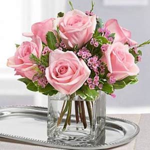 Denville Florist | 6 Pink Roses