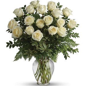 Denville Florist | 18 White Roses