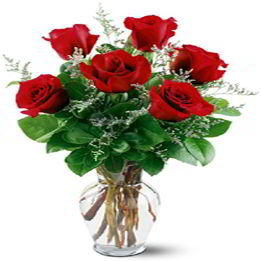 Denville Florist | Six Red Roses