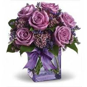 Denville Florist | 6 Lavendar Roses