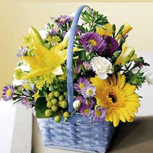 Denville Florist | Beautiful Basket