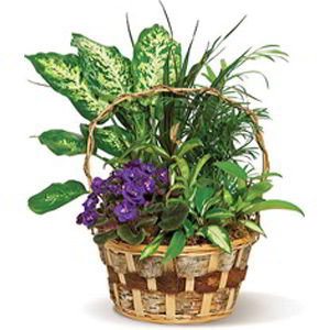 Denville Florist | Pretty Basket
