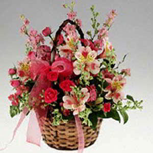 Denville Florist | Basket of Pinks
