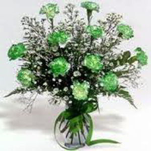 Denville Florist | Dz Green Carnations