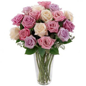 Denville Florist | 18 Pastel Roses