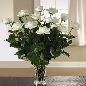 Denville Florist | 12 White Roses 