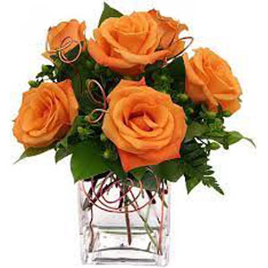 Denville Florist | 6 Orange Roses