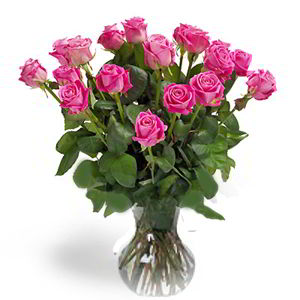 Denville Florist | 18 Pink Roses